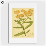 2-16_National-Library-of-Medicine_picture
