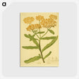 2-16_National-Library-of-Medicine_postcard