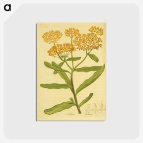2-16_National-Library-of-Medicine_postcard