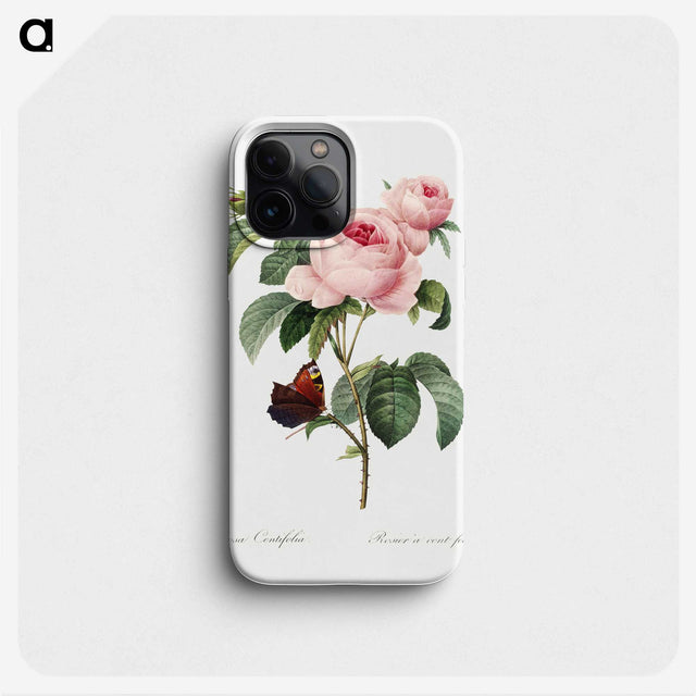2-16_Pierre-Joseph-Redoute_phone