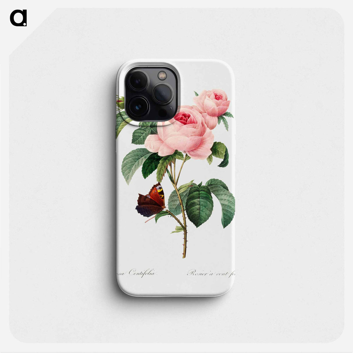 Cabbage rose - Pierre Joseph Redouté Phone Case.