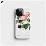 Cabbage rose - ピエール ジョゼフ ルドゥーテ Phone Case.