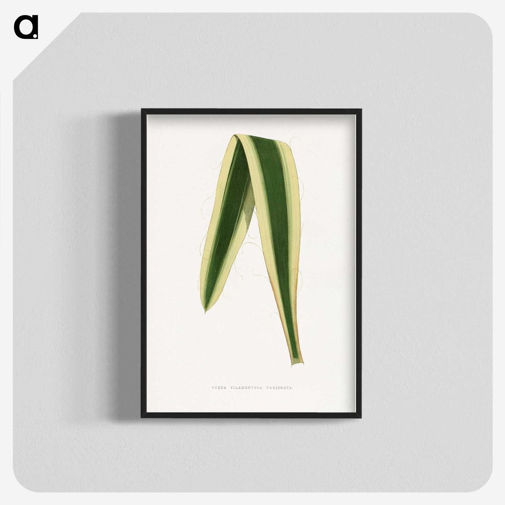 2-16_Plants-with-Colored-Foliage_blk-crop