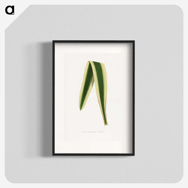2-16_Plants-with-Colored-Foliage_blk