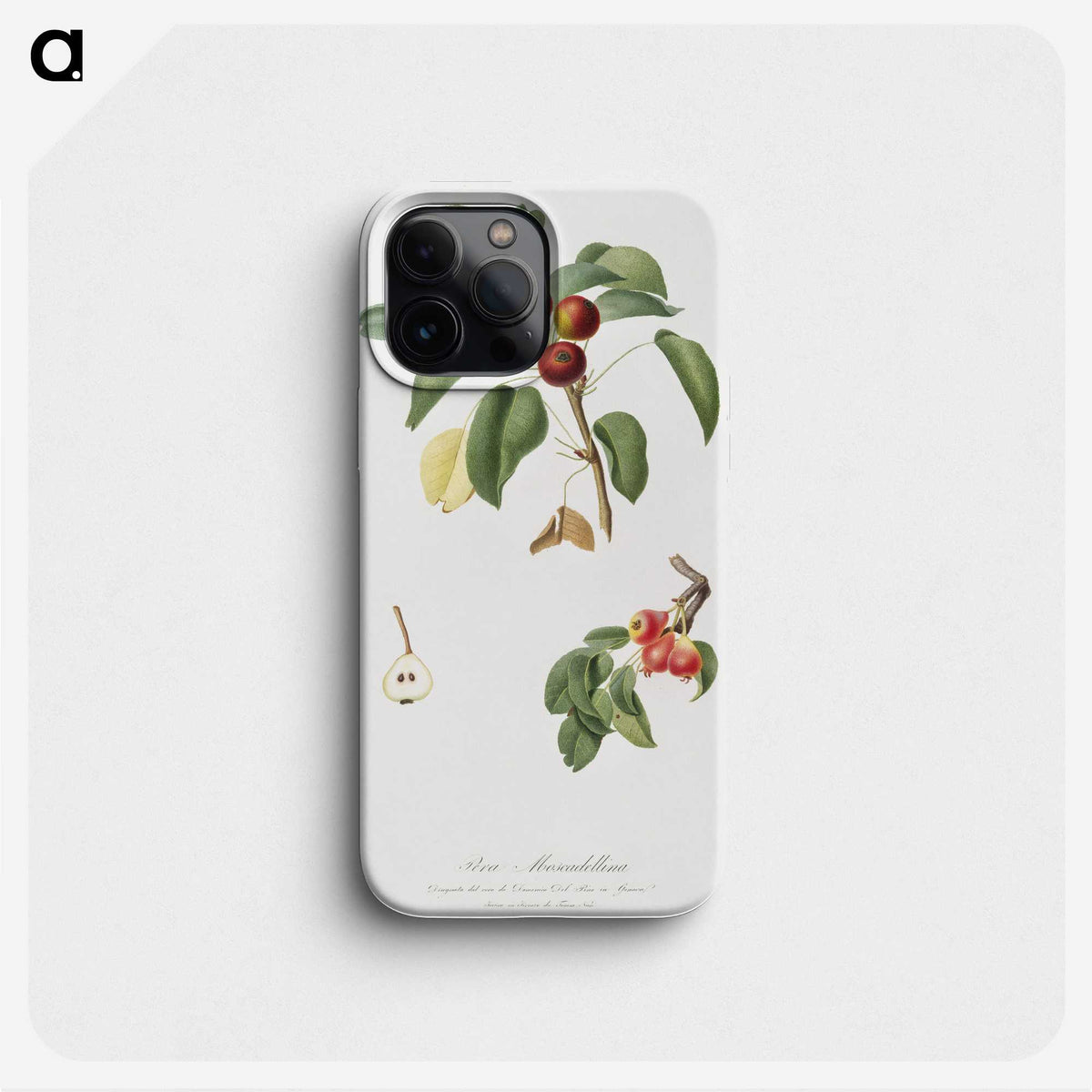 2-16_Pomona-Italiana_phone