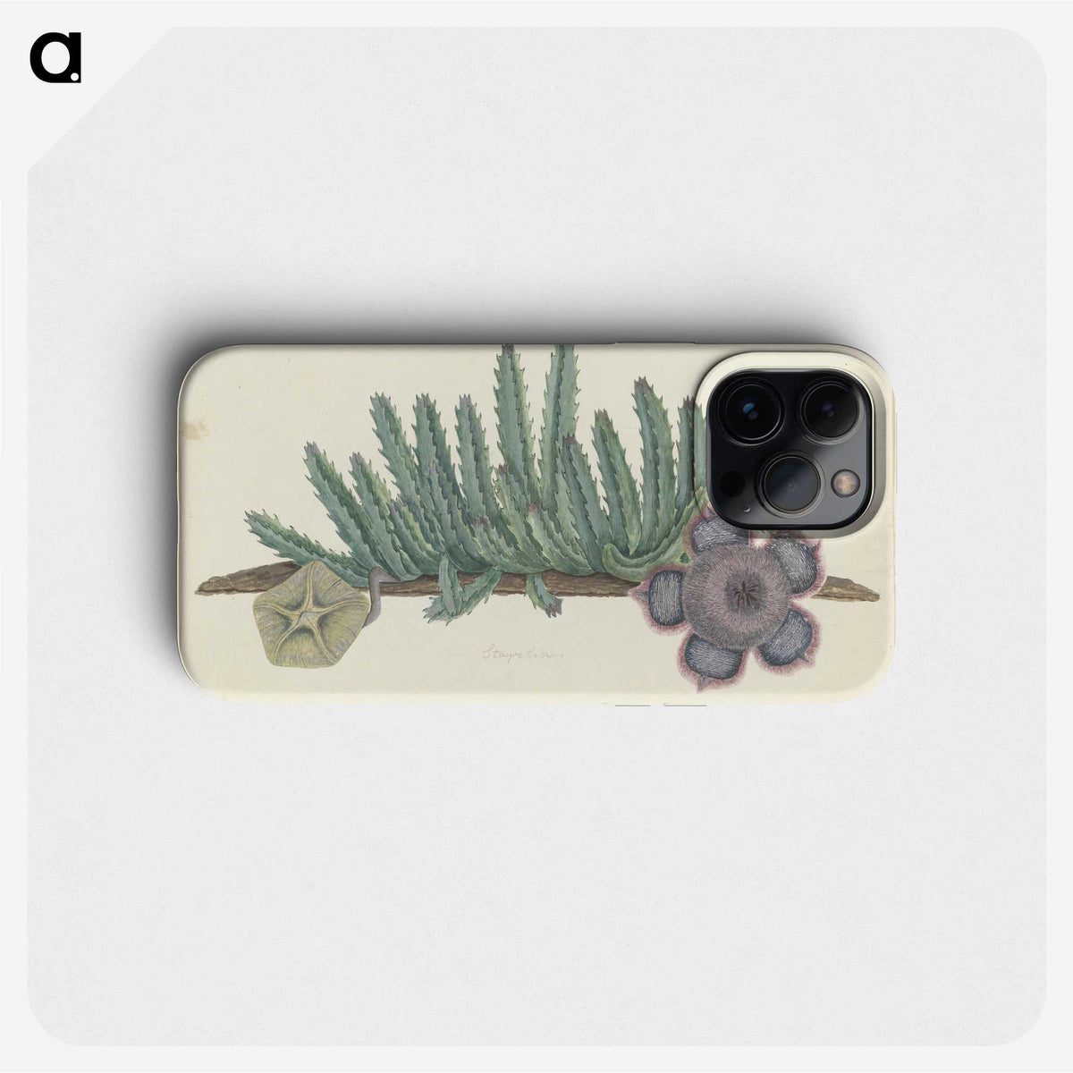 2-16_Robert-Jacob-Gordon_phone