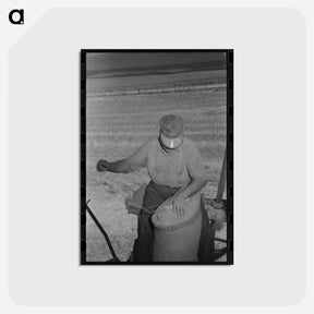 アートポストカード-Wheat Farmer Sewing Bemis Bags
 - ラッセル リー Postcard.