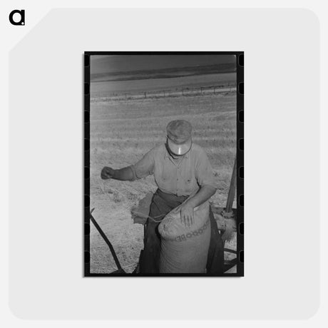 アートポストカード-Wheat Farmer Sewing Bemis Bags
 - ラッセル リー Postcard.