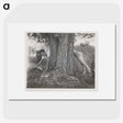 2-16_Saint-Louis-Art-Museum_picture