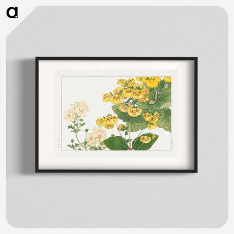 2-16_Seiyo-Soka-Zufu_blk