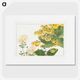 2-16_Seiyo-Soka-Zufu_picture