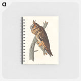 アートメモ帳-Long-eared Owl from Birds of America
 - アメリカの鳥たち Memo.