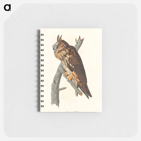 アートメモ帳-Long-eared Owl from Birds of America
 - アメリカの鳥たち Memo.