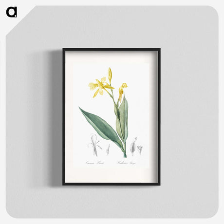 2-16_The-Lilies_blk