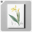 2-16_The-Lilies_canvas
