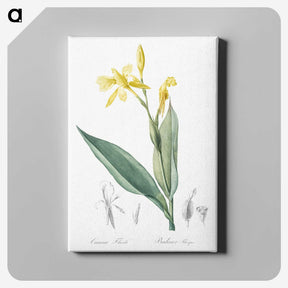 2-16_The-Lilies_canvas