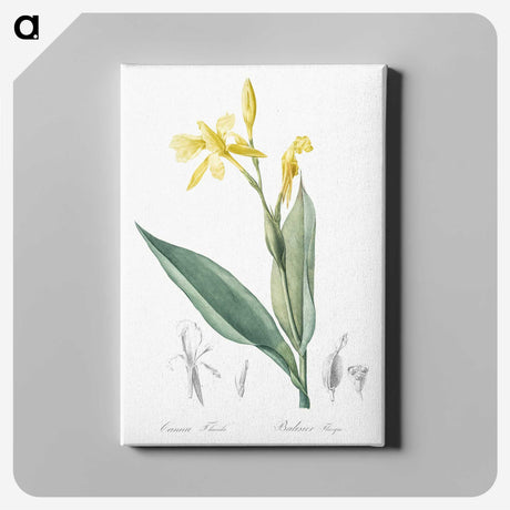2-16_The-Lilies_canvas