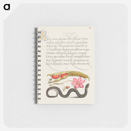 アートメモ帳-Kidney Bean, Poppy Anemone, and Adder
 - 書道のお手本 Memo.