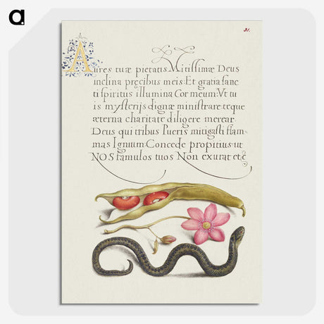 2-16_The-Model-Book-of-Calligraphy_picture-crop