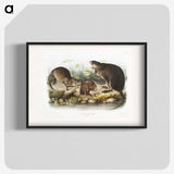 2-16_The-Viviparous-Quadrupeds_blk