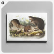 2-16_The-Viviparous-Quadrupeds_canvas