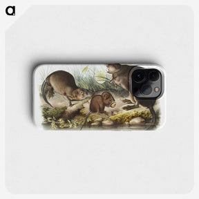 2-16_The-Viviparous-Quadrupeds_phone