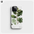 2-16_Treatise-on-Trees-and-Shrubs_phone