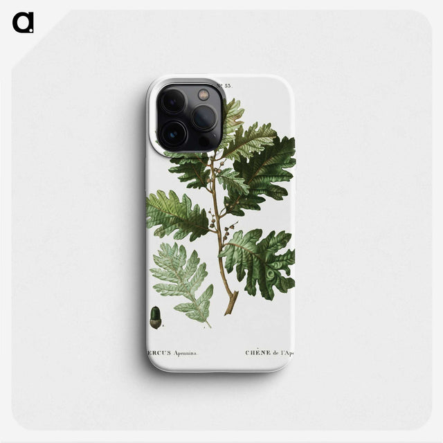 2-16_Treatise-on-Trees-and-Shrubs_phone