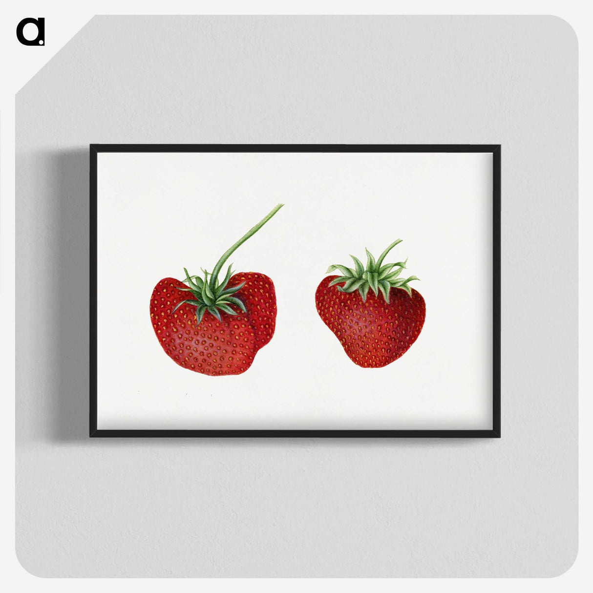 2-16_USDA-Watercolor-Fruit-Painting-Collection_blk-crop