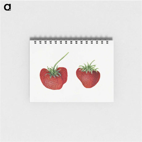 2-16_USDA-Watercolor-Fruit-Painting-Collection_memo