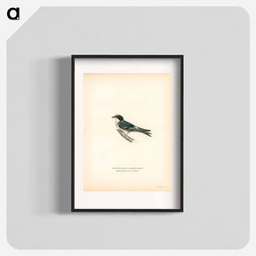 アートポスター-Common redshank - ヴィルヘルム フォン ライト Poster.