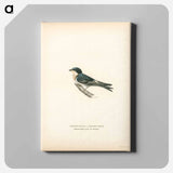 Common redshank - ヴィルヘルム フォン ライト Canvas.