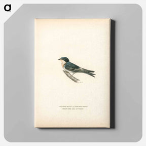 アートパネル-Common redshank - ヴィルヘルム フォン ライト Canvas.