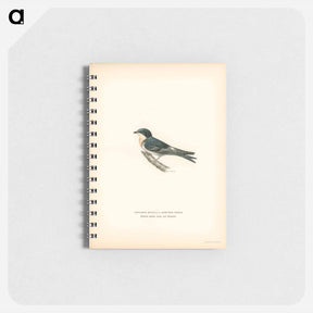 アートメモ帳-Common redshank - ヴィルヘルム フォン ライト Memo.