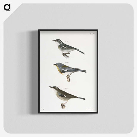 2-16_Zoology-of-New-York_blk-crop