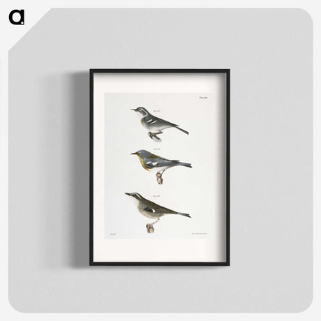 2-16_Zoology-of-New-York_blk