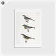 2-16_Zoology-of-New-York_hagaki