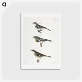 2-16_Zoology-of-New-York_hagaki