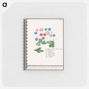 アートメモ帳-Liverflower - アンセルムス ボエティウス デ ブート Memo.