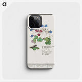 2-17_Anselmus-Boetius-de-Boodt_phone