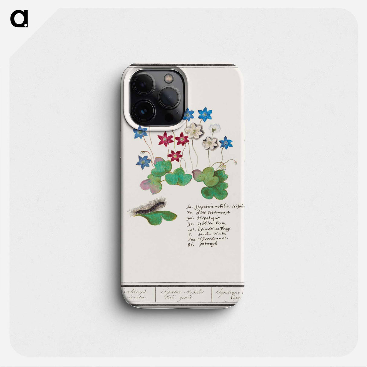 Liverflower - アンセルムス ボエティウス デ ブート Phone Case.