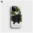 2-17_Botanical-Specimen-Plates_phone