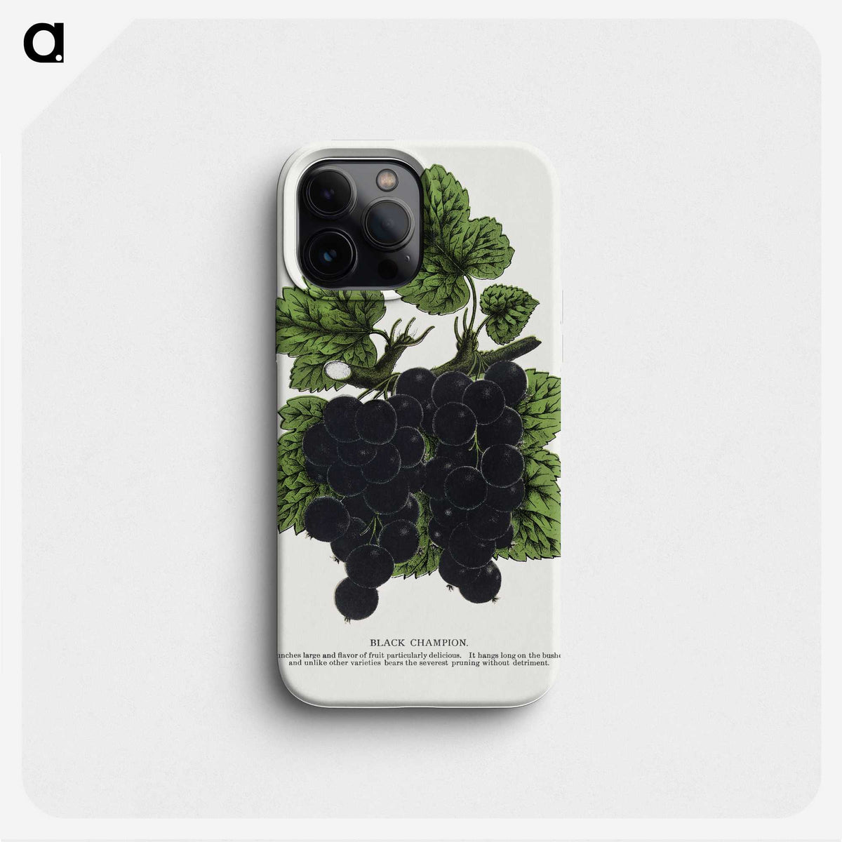 2-17_Botanical-Specimen-Plates_phone