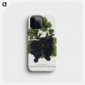 2-17_Botanical-Specimen-Plates_phone