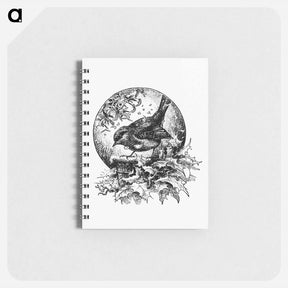 アートメモ帳-Winter Bird Illustration
 - 大英図書館 Memo.
