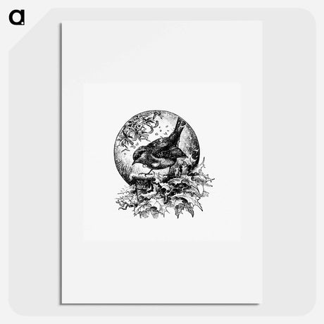 アートポスター-Winter Bird Illustration
 - 大英図書館 Poster.