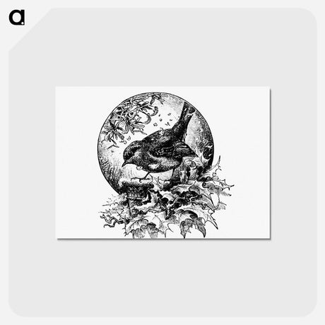 アートポストカード-Winter Bird Illustration
 - 大英図書館 Postcard.