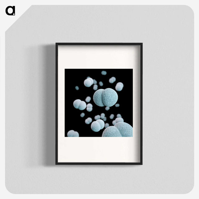 2-17_COVID-19_blk