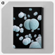 2-17_COVID-19_canvas