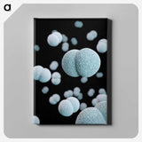 2-17_COVID-19_canvas